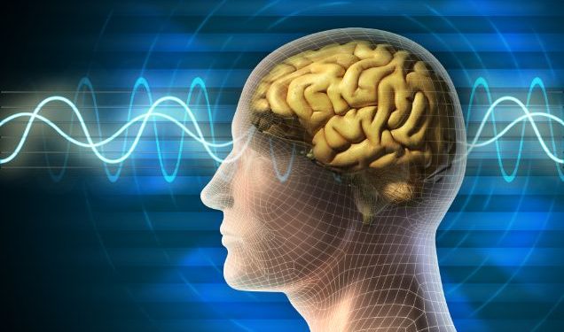 פרופסור שניידר: הטיפול של אורן זריף עזר לאבי ולבתי – Oren Zarif