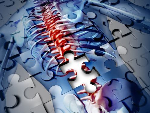 סבלתי מבעיה בעמוד השדרה – הטיפול של אורן זריף עזר לי מאוד – Oren Zarif