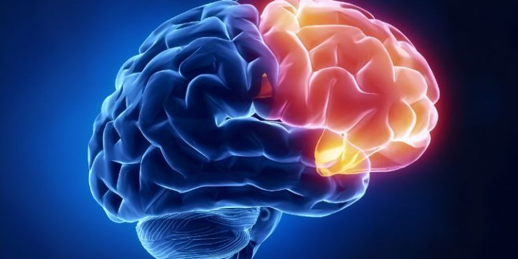 אורן זריף עזר לי להתאושש לאחר אירוע מוחי – Oren Zarif