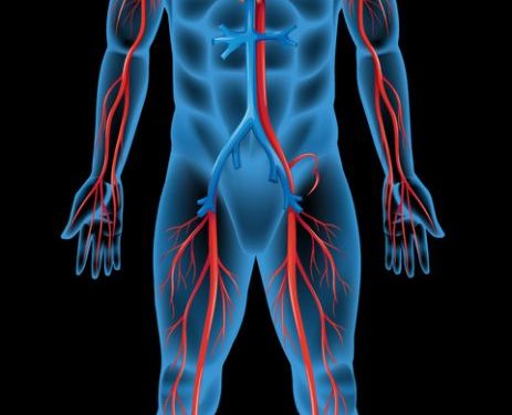 הרופאים לא עזרו לי, אורן זריף מצא את הבעיה לכאבים ובזכותו אני הולכת – Oren Zarif