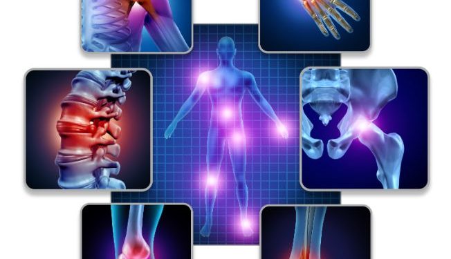 הכדורים מהרופאים לא עזרו לכאבי הפרקים, אורן זריף הקל על הבעיה – Oren Zarif