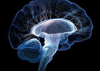 שבץ מוחי אורן זריף טיפול שכדאי להכיר – Oren Zarif