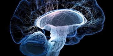 שבץ מוחי אורן זריף טיפול שכדאי להכיר – Oren Zarif