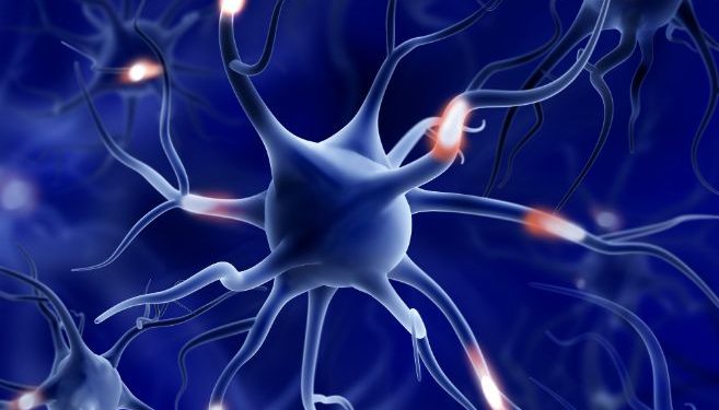 הטיפול של אורן זריף עזר לי מאוד – Oren Zarif