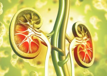 אורן זריף העלים לי את האבנים בכליות – Oren Zarif