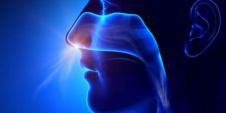 אורן זריף הצליח לגרום לי לנשום שוב, אני כבר לא משתמש במכשירים – Oren Zarif