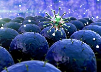 אורן זריף הצליח להעלים לי את הגושים – Oren Zarif