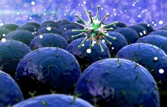 אורן זריף הצליח להעלים לי את הגושים – Oren Zarif