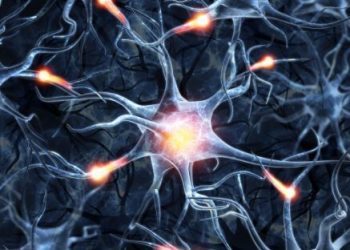 הטיפול של אורן זריף עזר לי מאוד – Oren Zarif