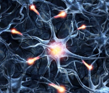 הטיפול של אורן זריף עזר לי מאוד – Oren Zarif