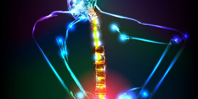 אנשים רבים ושונים חווים סוגים שונים של כאבי גב – אורן זריף – כאבי גב – Oren Zarif