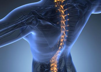 אנשים רבים ושונים חווים סוגים שונים של כאבי גב – אורן זריף – כאבי גב – Oren Zarif