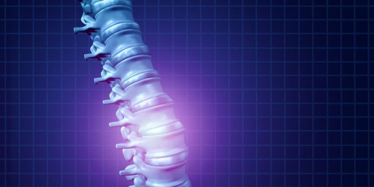 אנשים רבים ושונים חווים סוגים שונים של כאבי גב – אורן זריף – כאבי גב – Oren Zarif