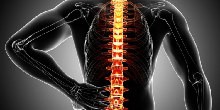 אנשים רבים ושונים חווים סוגים שונים של כאבי גב – אורן זריף – כאבי גב – Oren Zarif