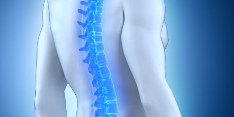 אנשים רבים ושונים חווים סוגים שונים של כאבי גב – אורן זריף – כאבי גב – Oren Zarif