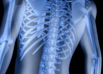 אנשים רבים ושונים חווים סוגים שונים של כאבי גב – אורן זריף – כאבי גב – Oren Zarif