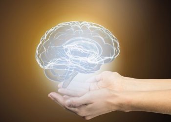 הצעד הראשון למניעת שבץ מוחי הוא תזונה בריאה – אורן זריף – אירוע מוחי – Oren Zarif