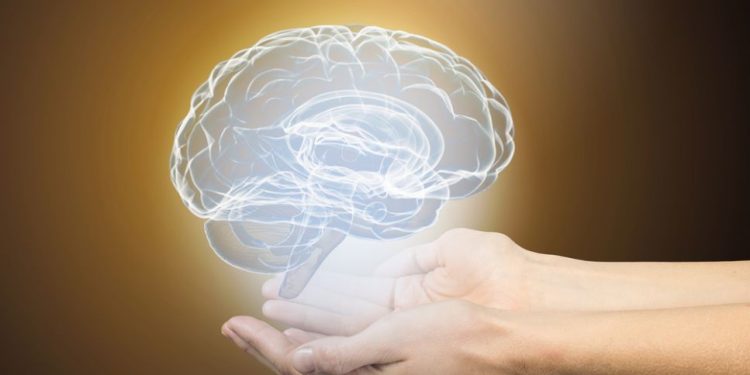 הצעד הראשון למניעת שבץ מוחי הוא תזונה בריאה – אורן זריף – אירוע מוחי – Oren Zarif