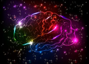 הצעד הראשון למניעת שבץ מוחי הוא תזונה בריאה – אורן זריף – אירוע מוחי – Oren Zarif