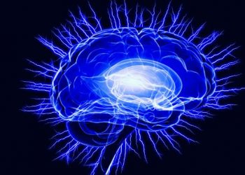 הצעד הראשון למניעת שבץ מוחי הוא תזונה בריאה – אורן זריף – אירוע מוחי – Oren Zarif