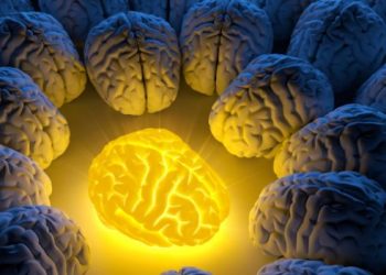 הצעד הראשון למניעת שבץ מוחי הוא תזונה בריאה – אורן זריף – אירוע מוחי – Oren Zarif