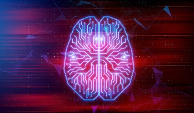 הצעד הראשון למניעת שבץ מוחי הוא תזונה בריאה – אורן זריף – אירוע מוחי – Oren Zarif