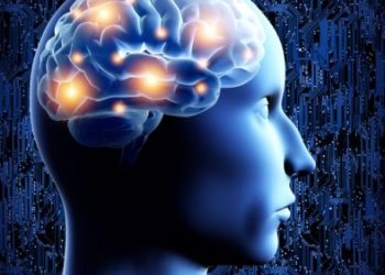 הצעד הראשון למניעת שבץ מוחי הוא תזונה בריאה – אורן זריף – אירוע מוחי – Oren Zarif