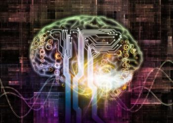 הצעד הראשון למניעת שבץ מוחי הוא תזונה בריאה – אורן זריף – אירוע מוחי – Oren Zarif