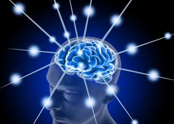 הצעד הראשון למניעת שבץ מוחי הוא תזונה בריאה – אורן זריף – אירוע מוחי – Oren Zarif