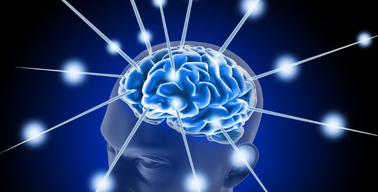 הצעד הראשון למניעת שבץ מוחי הוא תזונה בריאה – אורן זריף – אירוע מוחי – Oren Zarif