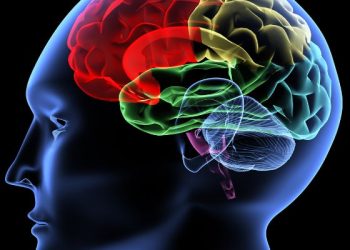 הצעד הראשון למניעת שבץ מוחי הוא תזונה בריאה – אורן זריף – אירוע מוחי – Oren Zarif