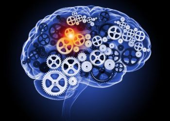 הצעד הראשון למניעת שבץ מוחי הוא תזונה בריאה – אורן זריף – אירוע מוחי – Oren Zarif