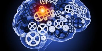 הצעד הראשון למניעת שבץ מוחי הוא תזונה בריאה – אורן זריף – אירוע מוחי – Oren Zarif