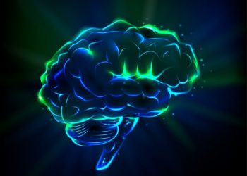 הצעד הראשון למניעת שבץ מוחי הוא תזונה בריאה – אורן זריף – אירוע מוחי – Oren Zarif