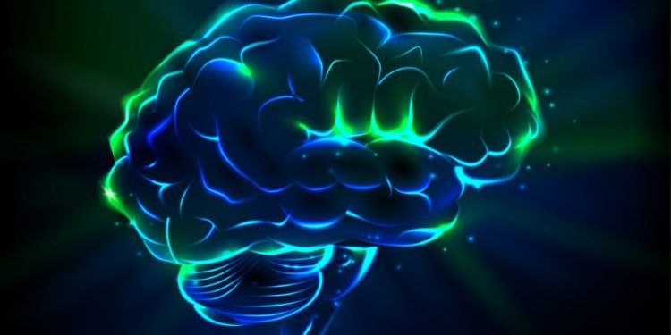 הצעד הראשון למניעת שבץ מוחי הוא תזונה בריאה – אורן זריף – אירוע מוחי – Oren Zarif