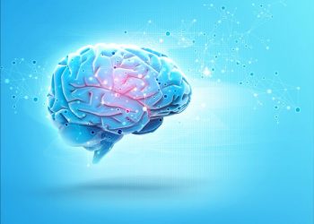 הצעד הראשון למניעת שבץ מוחי הוא תזונה בריאה – אורן זריף – אירוע מוחי – Oren Zarif