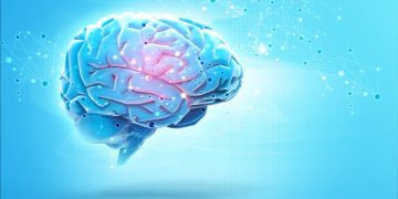 הצעד הראשון למניעת שבץ מוחי הוא תזונה בריאה – אורן זריף – אירוע מוחי – Oren Zarif