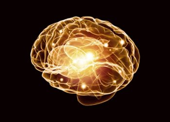 הצעד הראשון למניעת שבץ מוחי הוא תזונה בריאה – אורן זריף – אירוע מוחי – Oren Zarif