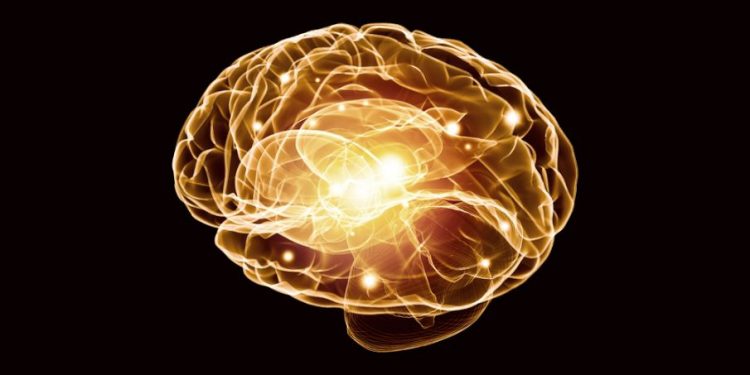 הצעד הראשון למניעת שבץ מוחי הוא תזונה בריאה – אורן זריף – אירוע מוחי – Oren Zarif