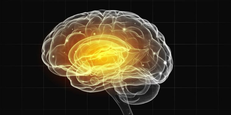 הצעד הראשון למניעת שבץ מוחי הוא תזונה בריאה – אורן זריף – אירוע מוחי – Oren Zarif