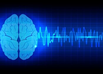 הצעד הראשון למניעת שבץ מוחי הוא תזונה בריאה – אורן זריף – אירוע מוחי – Oren Zarif