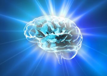 הצעד הראשון למניעת שבץ מוחי הוא תזונה בריאה – אורן זריף – אירוע מוחי – Oren Zarif