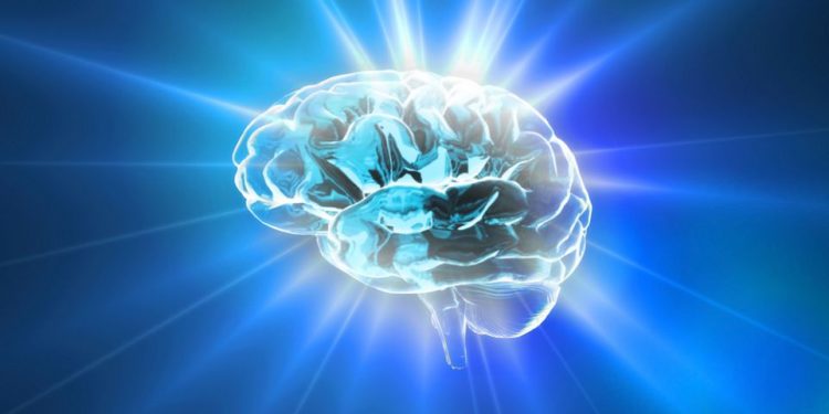 הצעד הראשון למניעת שבץ מוחי הוא תזונה בריאה – אורן זריף – אירוע מוחי – Oren Zarif